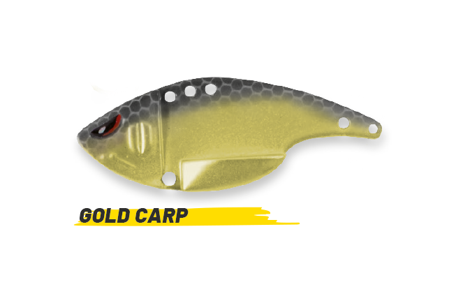 Gold Carp